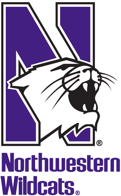 Northwestern Wildcats 1981-Pres Alternate Logo v2 iron on transfers for fabric